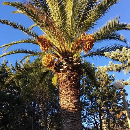 With One Bedroom In Raphael With Shared Pool And Wifi 100 M From The Beach * Saint-Raphaël